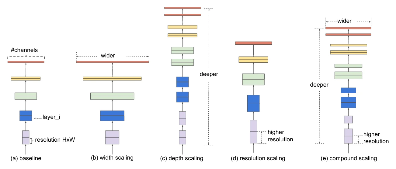 Network scaling